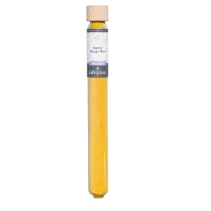 Ingwer Mango Shot Würzix